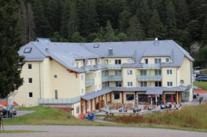 Pretty apartment with balcony Feldberg